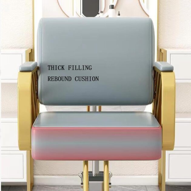 Luxury Barber Chair - Image 4