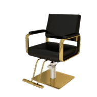 Luxury Barber Chair