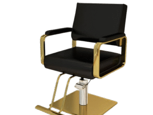 Luxury Barber Chair