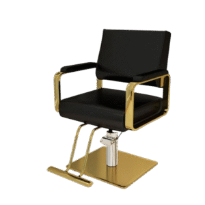 Luxury Barber Chair
