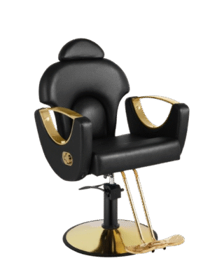 Black and Gold Salon Barber Chair