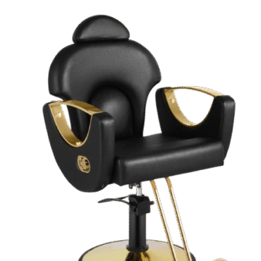 Black and Gold Salon Barber Chair
