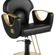 Black and Gold Salon Barber Chair