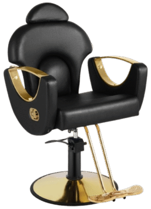 Black and Gold Salon Barber Chair