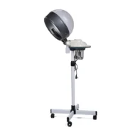 Standing Steamer