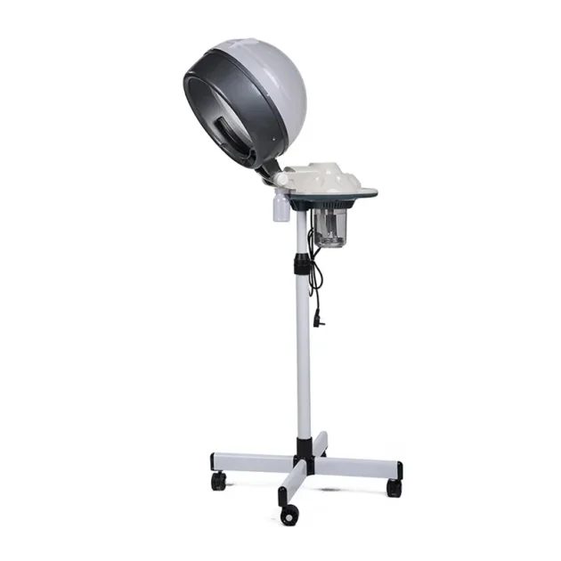 Standing Steamer