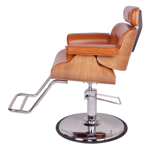 Modern Salon Chair - Image 7