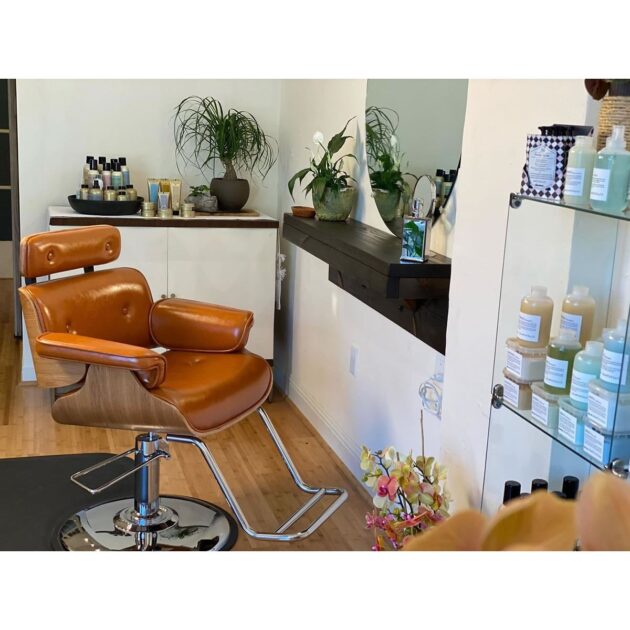 Modern Salon Chair - Image 2