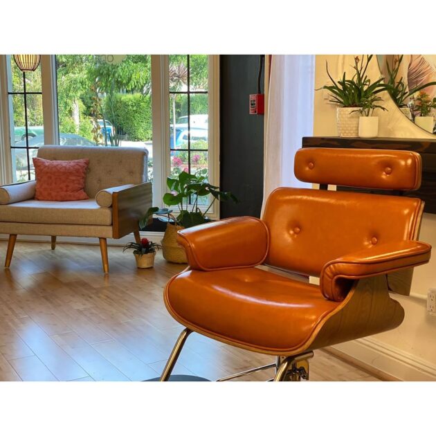 Modern Salon Chair - Image 4