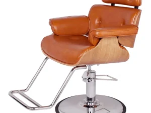 Modern Salon Chair