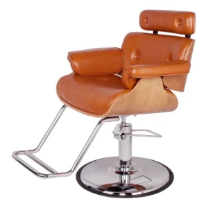 Modern Salon Chair